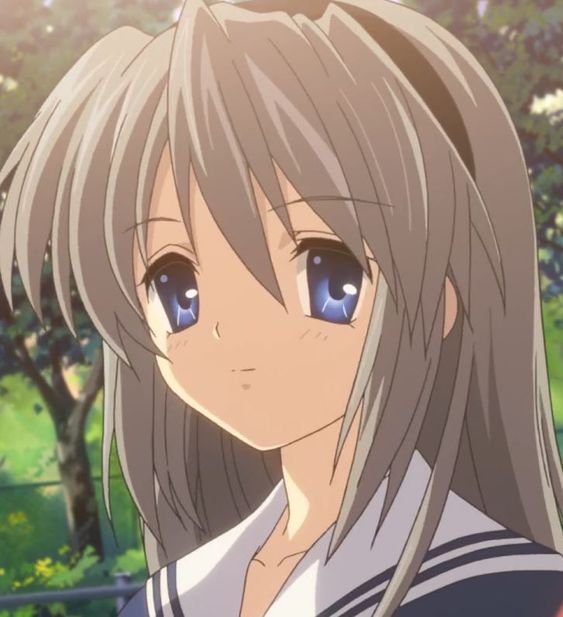 Mamoru Aikawa (Anime)