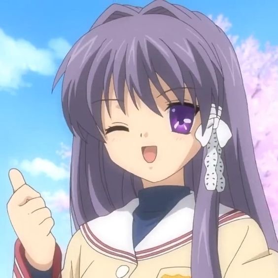 Mamoru Aikawa (Anime)