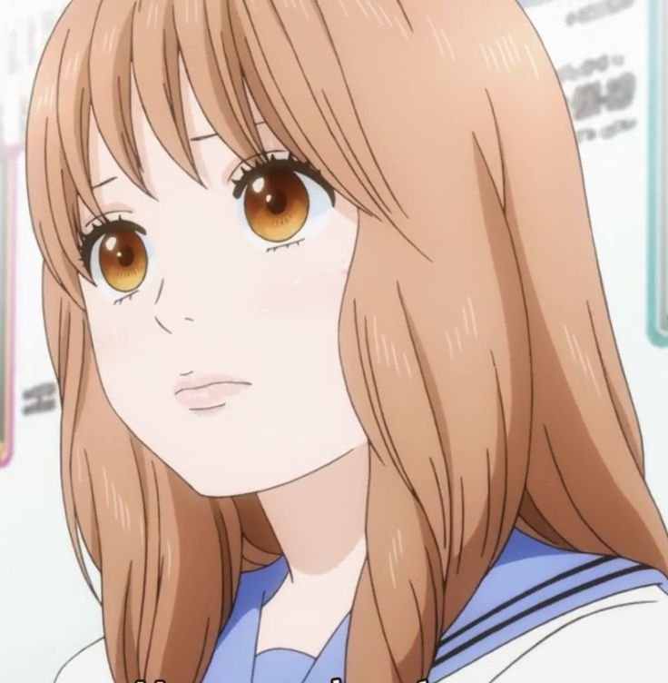 Mamoru Aikawa (Anime)