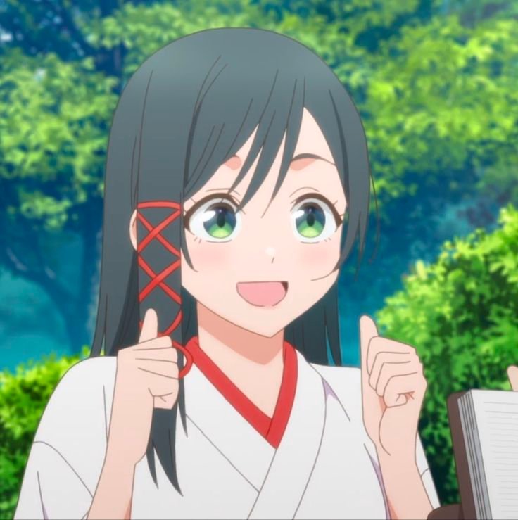 Mamoru Aikawa (Anime)