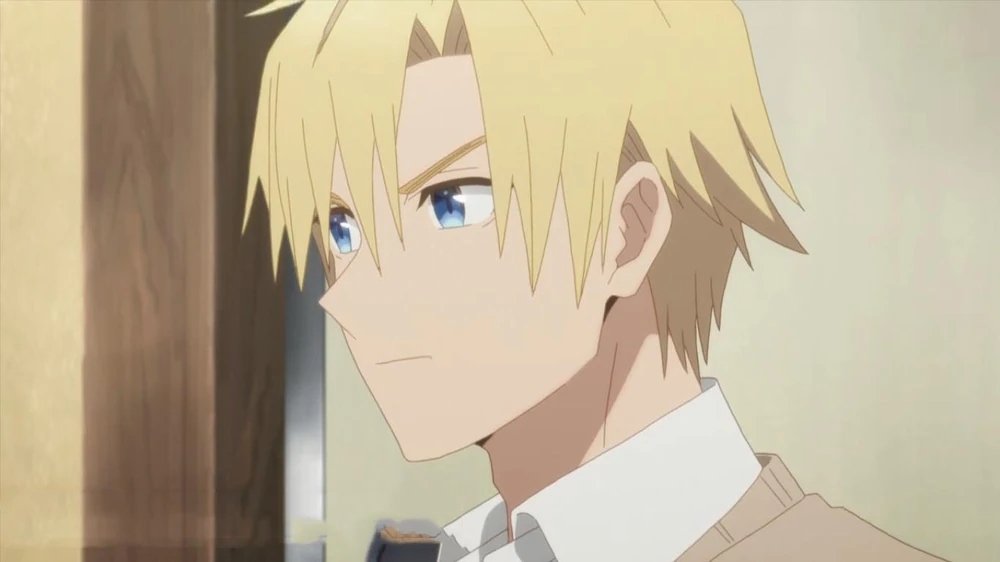 Mamoru Aikawa (Anime)