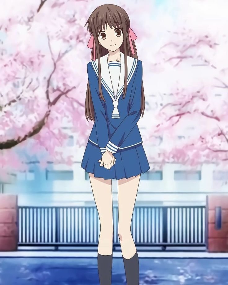 Mamoru Aikawa (Anime)