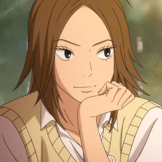 Mamoru Aikawa (Anime)