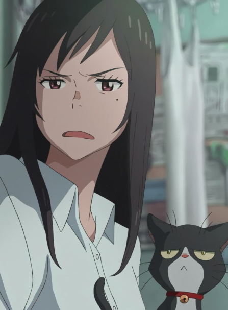 Mamoru Aikawa (Anime)